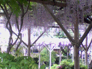 b0108363_21195443.jpg