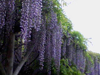 b0108363_2120380.jpg