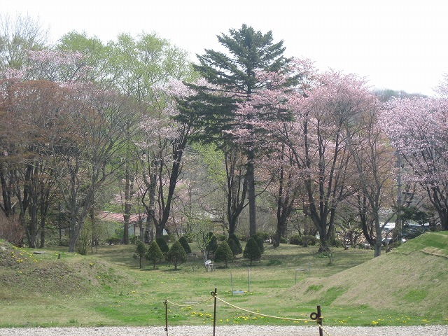 f0146769_1235675.jpg