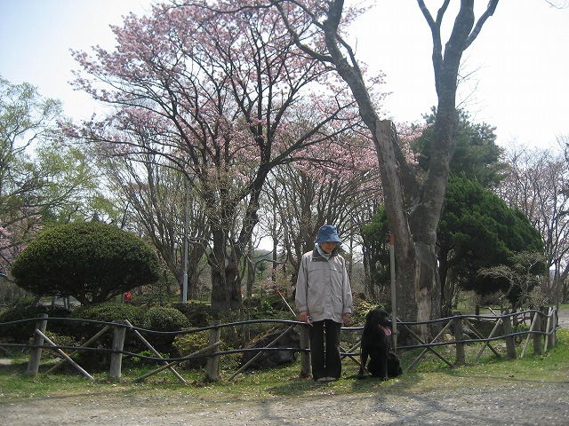 f0146769_126079.jpg