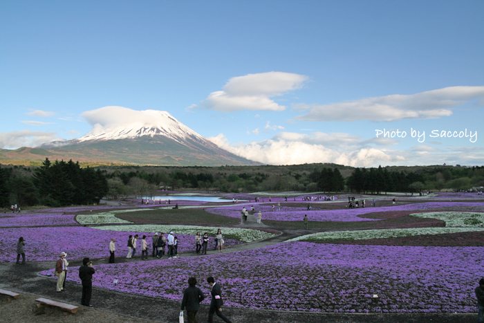 Mt.Fuji_f0129776_03715.jpg