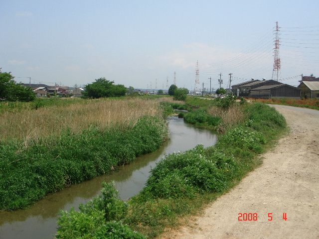 f0124378_22345698.jpg