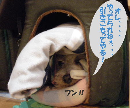 e0066883_136832.gif