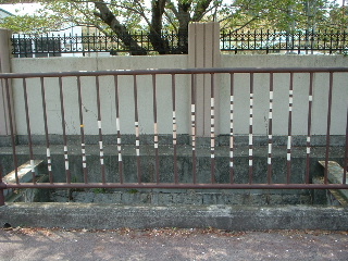 e0060485_8582497.jpg