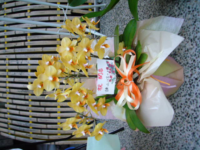b0113990_248522.jpg
