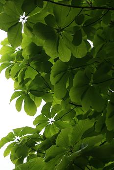 a0091891_00032.jpg