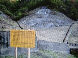 e0128391_105130.jpg