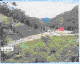 e0128391_15244188.jpg