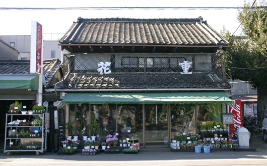 墓地の中の花屋 Nostalgic Tokyo 谷中 根津 千駄木