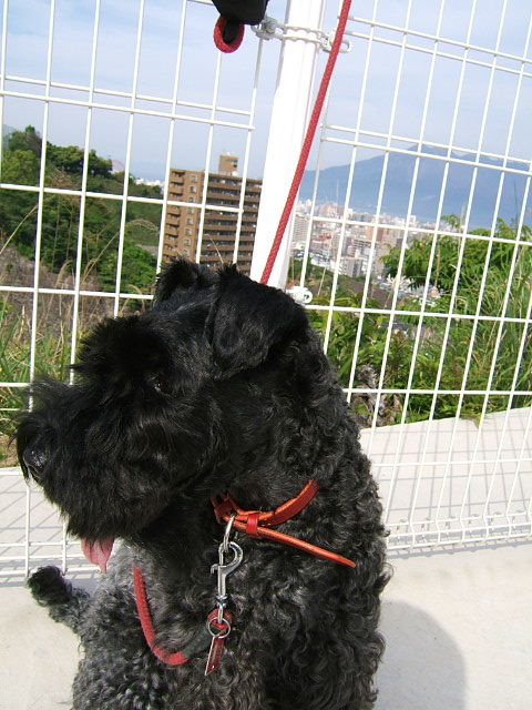c0037701_05831.jpg