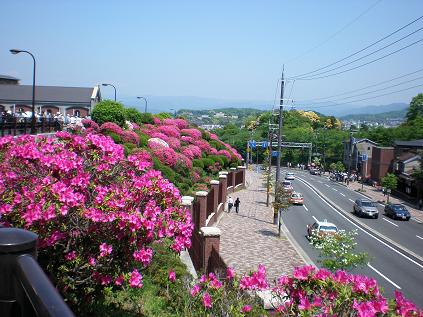 c0087305_616623.jpg