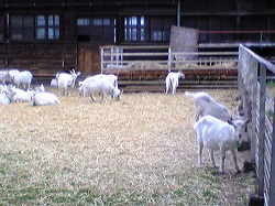 d0013610_1821509.jpg