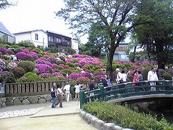 d0013610_1821867.jpg