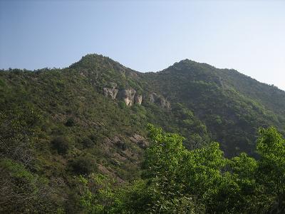 山登り~_a0064213_12352380.jpg