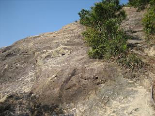山登り~_a0064213_23275978.jpg