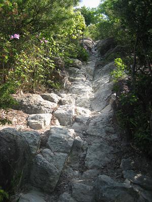 山登り~_a0064213_2328215.jpg