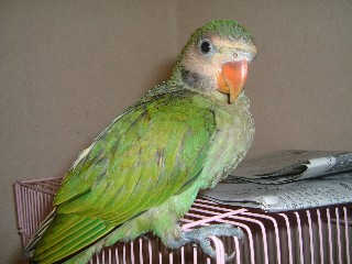 c0133013_14183210.jpg