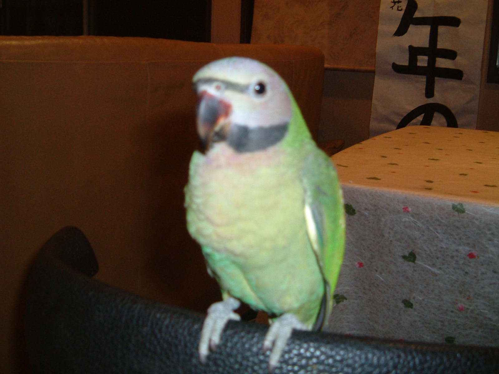 c0133013_14434643.jpg