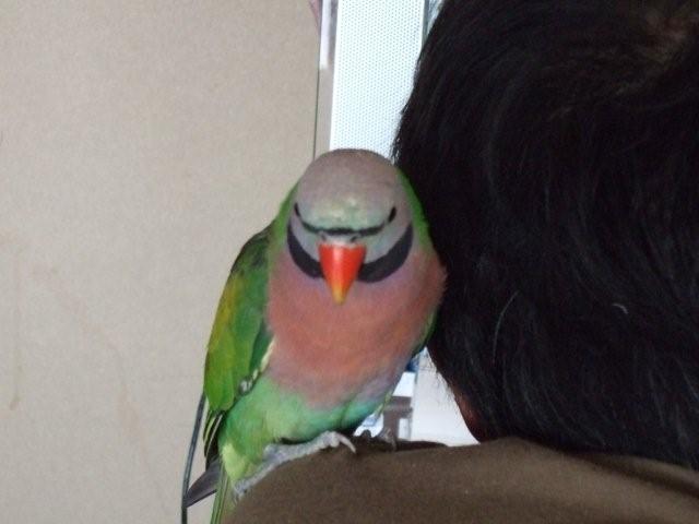 c0133013_1517764.jpg