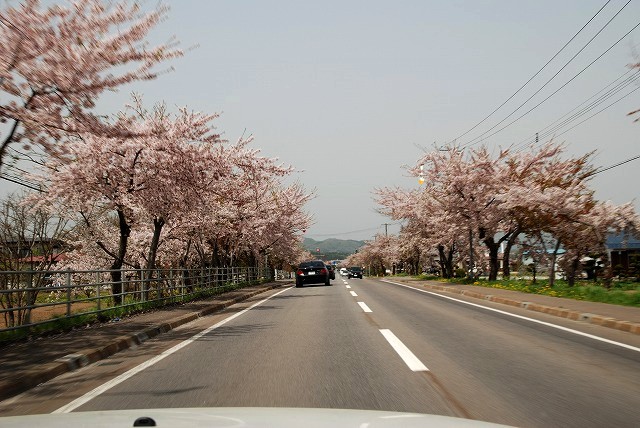 ビーコム北海道~2008函館オフ②~_f0113918_15391632.jpg