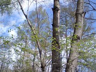 b0102023_19112885.jpg