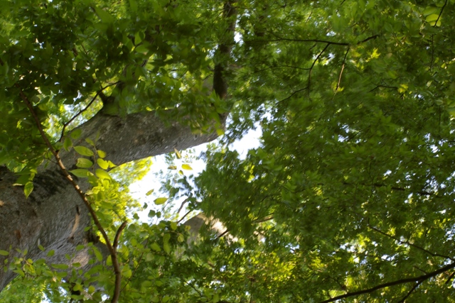 c0107924_0333251.jpg