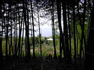 c0107129_0441490.jpg
