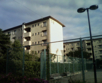 c0056932_12325946.jpg