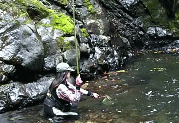a0056140_14322360.gif