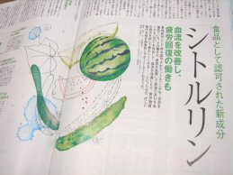 定期購読他　雑誌の山_a0105740_17234953.jpg