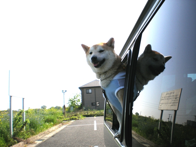 ＧＷ群馬の旅　３日目　埼玉編　（黒山三滝）_b0080342_173333.jpg