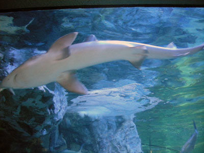 c0096342_0322065.jpg