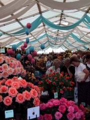 f0166749_15512337.jpg