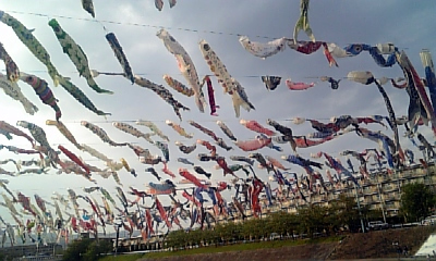 d0042851_415952.jpg