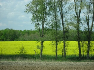 b0128952_625169.jpg