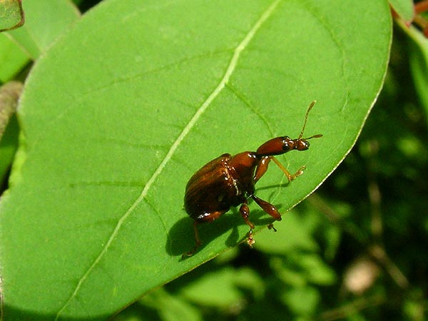 c0045352_15194321.jpg