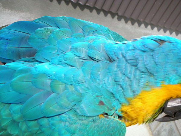 f0132055_07323.jpg