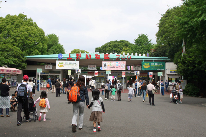 上野動物園GWレポート_e0086860_2220392.jpg