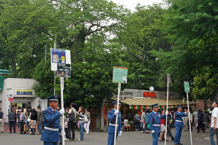 上野動物園GWレポート_e0086860_22212522.jpg