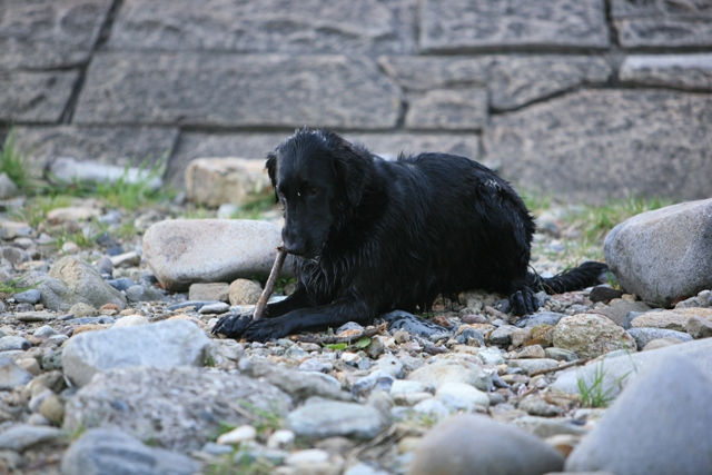 2008　モスミン　水上温泉家族旅行　＠　水上温泉♨_c0134862_21414425.jpg