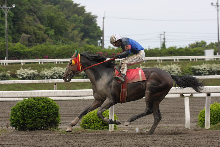 郷間勇太騎手、高知競馬2勝目！！_a0077663_2095299.jpg