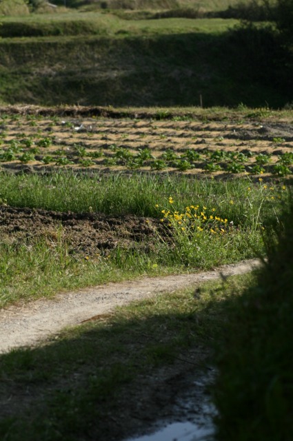 d0141365_2234574.jpg
