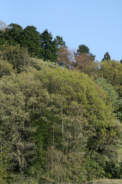 d0141365_22355779.jpg
