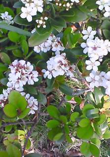 a0084771_212835100.jpg