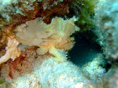 b0033573_17592167.jpg
