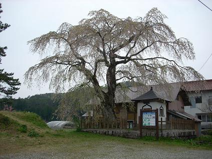 c0153173_20431815.jpg