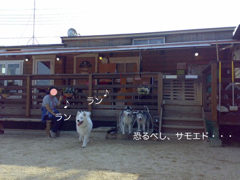 d0087675_23474073.gif