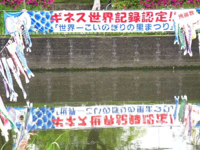 b0074377_15252645.jpg