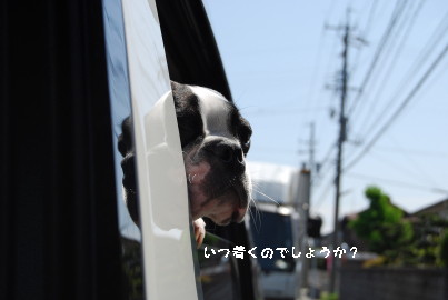 c0092787_16354390.jpg