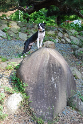 c0092787_1648588.jpg